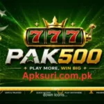 PAK500 Game