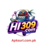 HI 309 Game